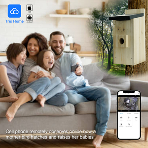 Akıllı görsel ahşap kuş evi/kuş yuva/kuş yuva HD piksel mobil uzaktan kuş gözlem evi - Product Image 5
