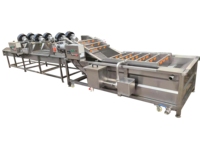 Vers Fruit Mango Apple Reinigingsmachine Luchtbel Groentewasmachine Productielijn Bubble Wasmachine Goede Prijs
