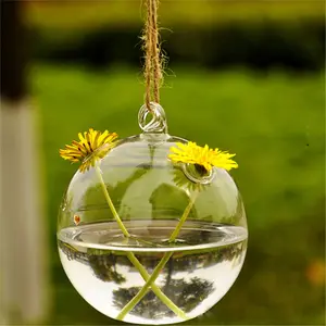 透明圆形开放式玻璃球花瓶玻璃悬挂植物玻璃容器玻璃球装饰品装饰植物玻璃容器