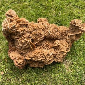 Espécimen de Piedra de Rosa del Desierto Natural, Hermosa Muestra Mineral de Rosa de Yeso para Colección, Adorno para el Hogar, Venta al por Mayor - Product Image 3