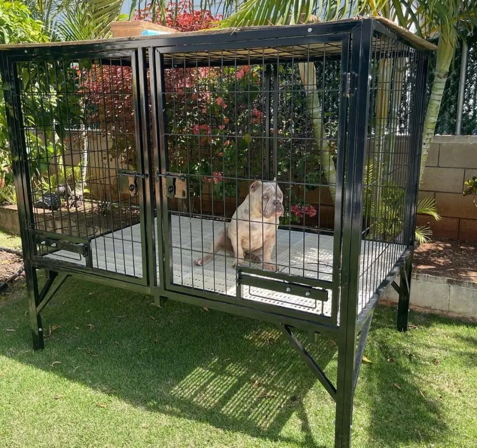 Metal welded mesh dog kennel large animal cages, double door steel dog house