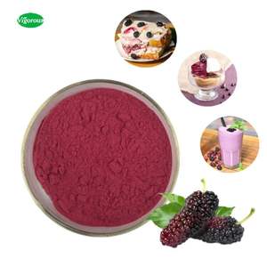 기능성 식품 및 음료용 OEM/ODM 천연 백뽕나무 열매 분말 - Product Image 1