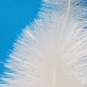 Fibra Elástica Sólida <span class=keywords><strong>de</strong></span> Plástico para <span class=keywords><strong>Tratamiento</strong></span> <span class=keywords><strong>de</strong></span> Aguas Residuales, Biofiltro, Medio Biológico para <span class=keywords><strong>Tratamiento</strong></span> Biológico <span class=keywords><strong>de</strong></span> Aguas Residuales - Product Image 3