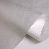 La Alternativa al Tyvek Es la Tela de Papel Hypak, Que Es Transpirable, Impermeable, Fácil de Imprimir y con Alta Reproducción de Color