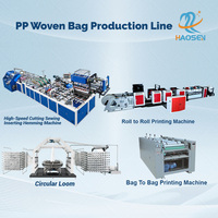 Machine de fabrication de sacs tissés en PP pour la production de granulés de caoutchouc recyclé, avec imprimante UV rouleau à rouleau pour film AB et métier à tisser circulaire pour ligne de production