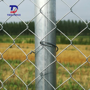 Clôture en treillis galvanisé, options <span class=keywords><strong>de</strong></span> <span class=keywords><strong>hauteur</strong></span> <span class=keywords><strong>de</strong></span> 2 m, <span class=keywords><strong>rouleau</strong></span> <span class=keywords><strong>de</strong></span> clôture en fil métallique <span class=keywords><strong>de</strong></span> 8 pieds <span class=keywords><strong>de</strong></span> haut avec poids et prix précis au mètre carré - Product Image 6