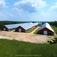 Estructura de Acero Galvanizado Prefabricada para Gallinero, Moderna Carcasa Metálica para Aves de Corral, Construcción de Naves Avícolas de Larga Duración