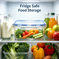 Ensemble de 4 contenants alimentaires en plastique PP étanches avec joint en silicone et couvercle hermétique pour la cuisine, le camping et la préparation des repas en extérieur