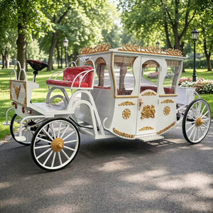 Carruaje Real de Lujo Extendido, Carruaje Turístico Eléctrico de Estilo Europeo, Carruaje Deportivo para Bodas - Product Image 1