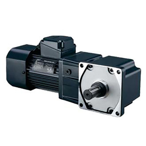 Reductor de Velocidad de Engranajes Helicoidales EP, 5 HP de Entrada, Eje Sólido, Montaje Horizontal, Uso Doméstico, 1 Año de Garantía, 50 kg - Product Image 1