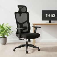 Chaise de bureau ergonomique moderne en maille respirante avec cadre en plastique, accoudoirs réglables, hauteur réglable, pivotante pour cadre dirigeant