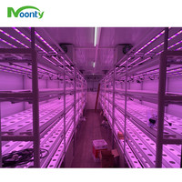 Ferme intelligente NFT expédition hydroponique verticale conteneur agricole système hydroponique NFT