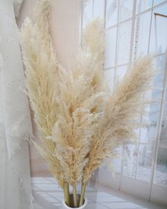Miglior popolare grande erba artificiale di pampa naturale soffice fiore secco per la decorazione di nozze e di <span class=keywords><strong>laurea</strong></span> - Product Image 6