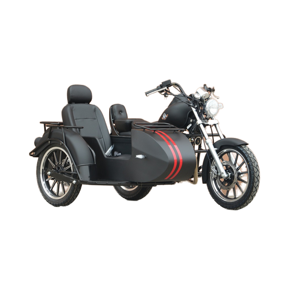 Motorcycle with Sidecar for Sale 250cc High Quality Trike