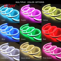 Led Neon Flex Strip 5M LED Neon Flex RGBIC Pixel Adressable Garden Theme Park Hotels Red Blue Color Temperature Garden Light