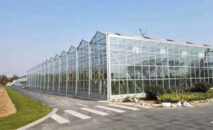 Goedkope Tomaat Multi- Span Multi-Tunnels Agrarische Groenhuis Metalen Landbouwkas - Product Image 5