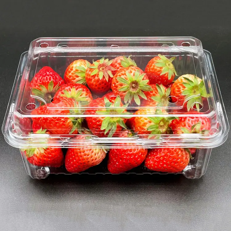 Boîte d'emballage en plastique de fraise boîte transparente pour Fruits
