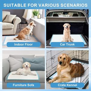 Almohadillas desechables para entrenamiento de cachorros y perros 2025, orinal a prueba de fugas, almohadilla para orinar para perros - Product Image 4