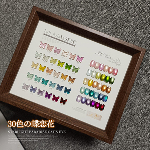 AILANUO New Style Professional 15ml Cat Eye Gel Polish <b>Set</b> Non Toxic Magnetic <b>Nail</b> Gel Polish Art Supplies Uv Gel <b>Nail</b> Polish - Product Image 3