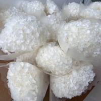 Haute qualité préservée vraies plantes hortensia sec fleurs séchées blanc pour toujours Anna fleur hortensia graines fleurs de mariage