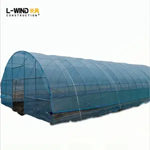 Invernadero agrícola de túnel polivinílico fácilmente ensamblado para agricultura de casas verdes a la venta
