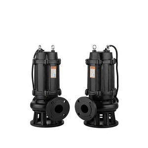 Pompe à eau usée submersible de qualité supérieure, personnalisée en Chine, entraînée par un moteur électrique WQ, pour le traitement des eaux usées industrielles - Product Image 1