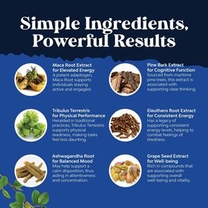 Extrait d'écorce de pin OEM Proanthocyanidines Complément alimentaire Capsule d'extrait d'écorce de pin en vrac naturel - Product Image 3