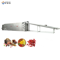 Ligne de séchage à énergie solaire économie d'énergie pour fruits légumes herbes fruits de mer viande grain riz nouilles pâtes