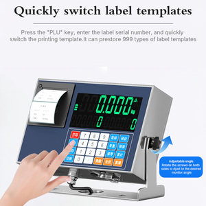 Edelstahl-LKW-Waage mit integriertem Drucker, 1g Genauigkeit, LED-Anzeige, OEM/ODM-Anpassung - Product Image 6