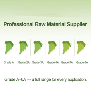 Venta al por Mayor a Precio de Mayoreo, Paquete OEM, Té Verde Puro Natural 100% 2026, <span class=keywords><strong>Matcha</strong></span> en Polvo de Grado Ceremonial - Product Image 4