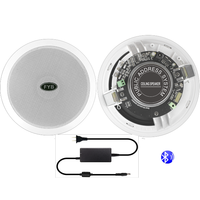 FYB – haut-parleur bluetooth de plafond sans fil, haut-parleur audio d'intérieur intelligent à 2 canaux