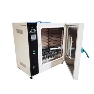 Large Volume Laboratory Vertical Vacuum Dry Oven Dry Sterilization Oven