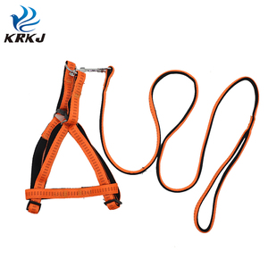 TC1108 vente en gros de produits innovants <span class=keywords><strong>pour</strong></span> animaux de compagnie <span class=keywords><strong>pour</strong></span> le jardin de la maison bandes de <span class=keywords><strong>laisse</strong></span> élastiques <span class=keywords><strong>pour</strong></span> <span class=keywords><strong>chien</strong></span> et ensemble de colliers - Product Image 6