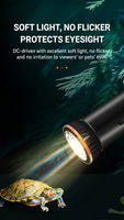 Lampe chauffante pour reptiles, tortues, lézards, UVA + UVB, complément de calcium, éclairage multidirectionnel