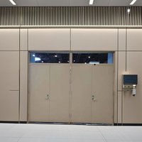 Porte de sécurité en acier ignifuge, porte intérieure industrielle, utilisation résidentielle ou comme porte d'entrée