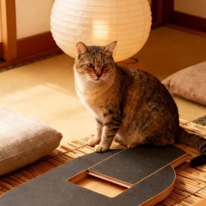 Caja de madera oculta para comida de mascotas, tapete rascador para perros, tablero educativo de alimentación lenta para gatos, juguete de entretenimiento y entrenamiento para mascotas - Product Image 3
