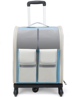 Valise à roulettes personnalisée OEM pour animaux de compagnie, transparente avec fermeture éclair, personnalisation à la demande, transporteur de voyage pour chat, boîte de transport pour chien, livraison directe pour chat