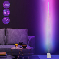Moderne Simple Nordique Décoratif Télécommandé Lumières Coin Led Debout Rgb Lampadaires pour Salon
