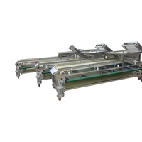 Pruimen fruit sorteerapparaat, appel sorteermachine, sinaasappel sorteermachine, maat sorteermachine beschikbaar voor Medjool dadels, jujubes en dadels.