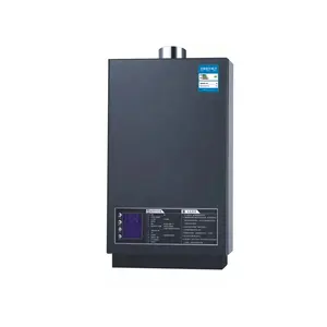 Chinese Leverancier Groothandel 16L Gedwongen Type Instant Tankless Gas Boiler