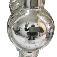 Ensemble de 5 liquides de peinture chrome Hydro-chrome, miroir de nitrate d'argent, peinture chromée
