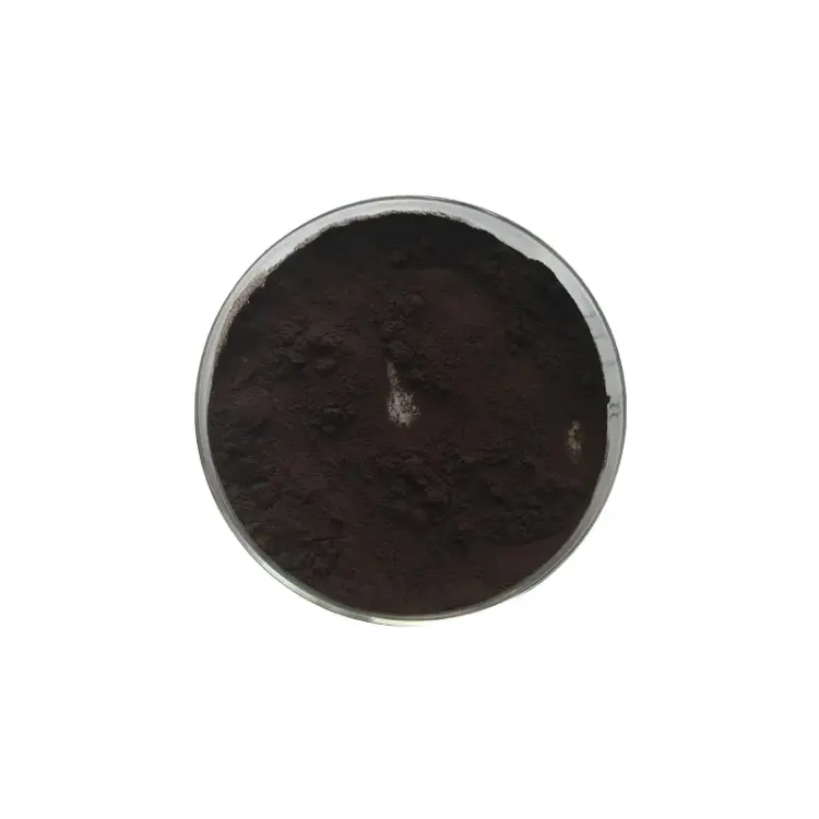 Herba sea liefert Top Quality Bulk getrockneten Chaga Pilz Black Chaga Pilzex trakt