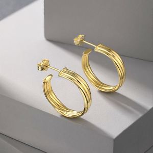 Dylam New Arrival <b>Fine</b> Fashion Accessories Jewelry Women S925 Silver 18K Gold Plated Twisted Line <b>Stud</b> <b>Earrings</b> - Product Image 6