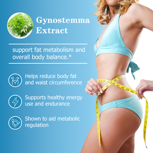 ผลิตภัณฑ์เสริมอาหารเพื่อลดน้ำหนักและเผาผลาญผงสารสกัดจาก Gynostemma - Product Image 4