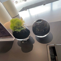Vase en verre moderne et créatif pour fleurs hydroponiques, ornements floraux, décorations de salle, table à manger, forme de boule souple et volumineuse, style carton