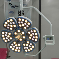 Lampe chirurgicale vétérinaire LED murale sans ombre 160000 Lux CRI96 réglable certifiée CE
