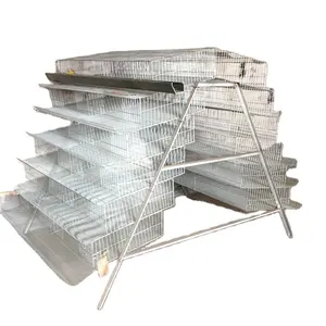 cheap galvanized wire mesh quail cage with automatic water system