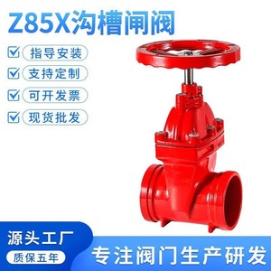 วาล์วประตูแบบร่อง Z85X ขนาด 65 มม. วาล์วดับเพลิงแบบยางหุ้มสีแดง วาล์วควบคุมน้ำแบบประตูเดี่ยว - Product Image 5
