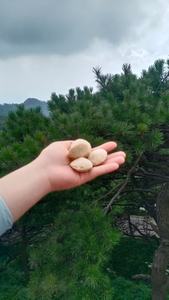 Allume-feu en laine de bois naturelle écologique, ignifuge, pour cuisine extérieure, barbecue intérieur, camping, accessoires de cuisson, grille de cuisson - Product Image 4