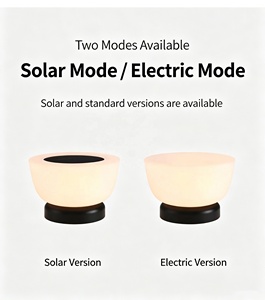 Lampes de poteau électriques/solaires modernes, étanches IP65, LED, pour extérieur, jardin, villa, poteaux, éclairage décoratif paysager - Product Image 3